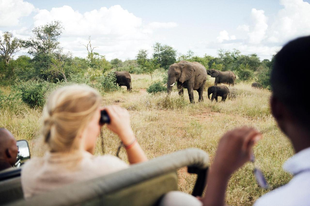 Villa Tanda Tula Safari Camp Reserva Timbavati Exterior foto
